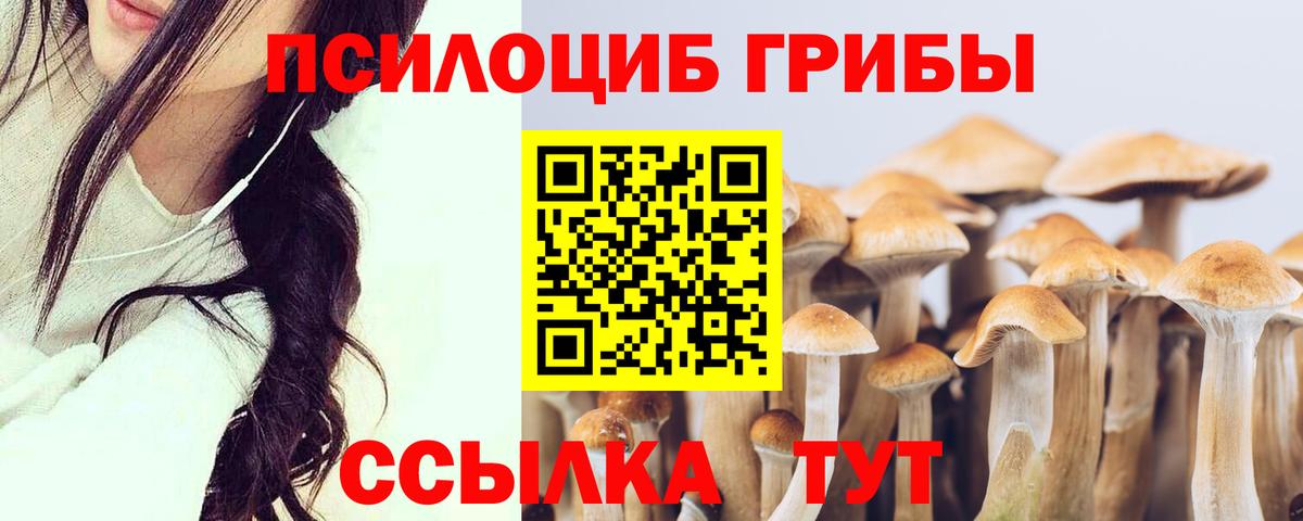 Кирово-Чепецк  Псилоцибиновые грибы ЛСД  Вход с VPN 